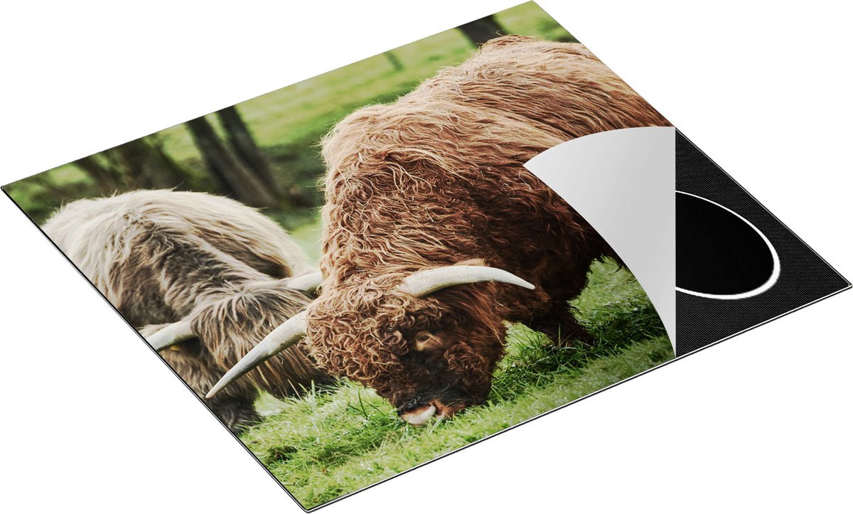 Chefcare Inductie Beschermer Twee Schotse Hooglanders Grazen Gras - 60x52 cm - Afdekplaat Inductie - Kookplaat Beschermer - Inductie Mat