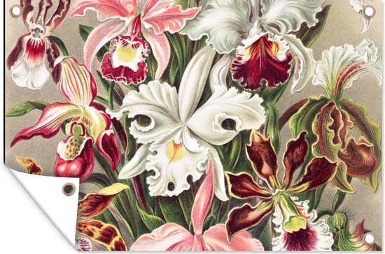 Tuinposter - Tuin - Bloemen - Kunst - Vintage - Schuttingdecoratie - Ernst Haeckel - 180x120 cm - Tuinschilderij - Wanddecoratie - Tuindoek - Buitenposter