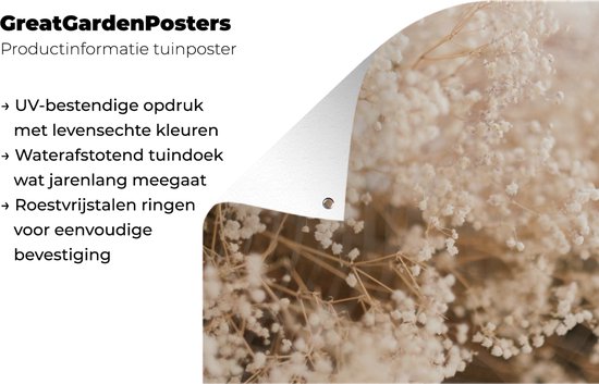 Affiche de jardin - Pampa - Herbe de la pampa plante de jardin - Plantes - Nature - Rose - 160x120 cm - Affiche de jardin fleurs - Jardin - Décoration murale - Décoration murale - Toile de jardin - Affiche extérieure