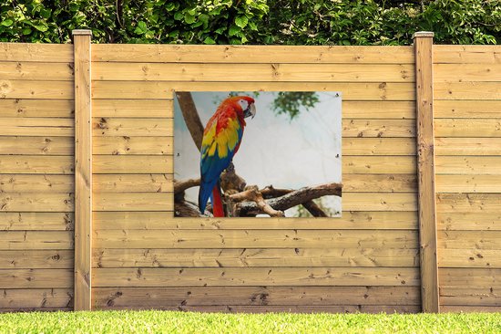Poster de Jardin Perroquet - Vogel - Arc-en-ciel - Tropical - 200x200 cm - Toile de jardin
