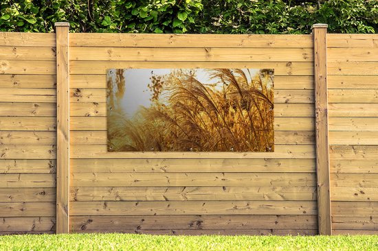 Affiche de jardin - Pampa - Herbe de la pampa - Herbe - Plante - Or - 160x80 cm - Posters de jardin - Jardin - Décoration murale - Décoration de jardin - Toile de jardin - Affiche extérieure