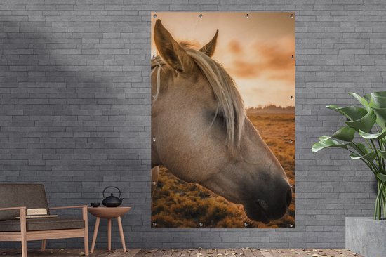 Tuinposter - Paarden - Dieren - Boerderijdieren - Lucht - 120x180 cm - Tuindoek - Tuinschilderij - Muurdecoratie - Wanddecoratie
