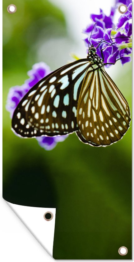 Tuinposter - Vlinders - Lavendel - Bloemen - Lente - Tuinschilderij - 40x80 cm - Tuindoek