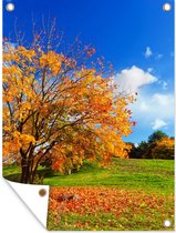 Tuinposter - Boom - Herfst - Natuur - Gras - Bladeren - Tuindecoratie - 90x120 cm - Tuindoek