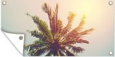 Tableau jardin - Palmier - Jardin - Feuilles - Tropical - 60x30 cm - Affiche clôture - Toile jardin - Affiche extérieur