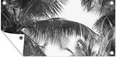 Affiche de jardin - Jardin - Palmier - Feuilles - Été - 60x30 cm - Peinture de jardin - Décoration murale - Toile de jardin - Affiche d'extérieur