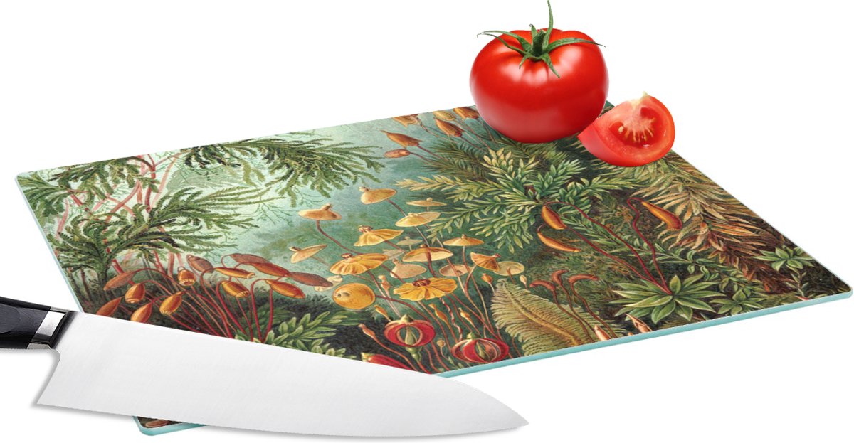 Glazen Snijplank - 28x20 - Oude meesters - Kunst - Muscinae - Haeckel - Snijplanken Glas