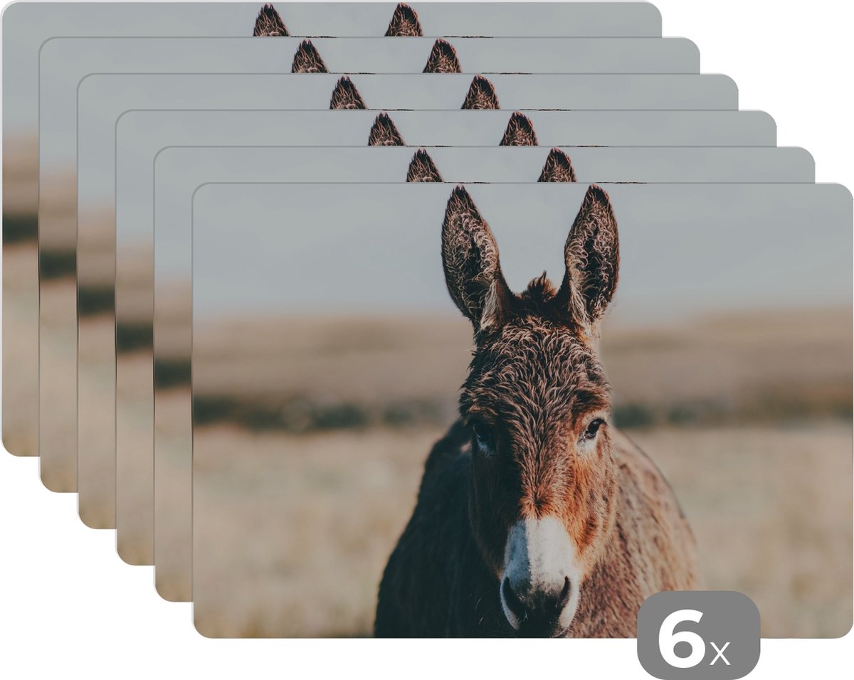 Placemats - Dieren - Ezel - Gras - Portret - Keuken - Onderlegger - 45x30 cm - 6 stuks