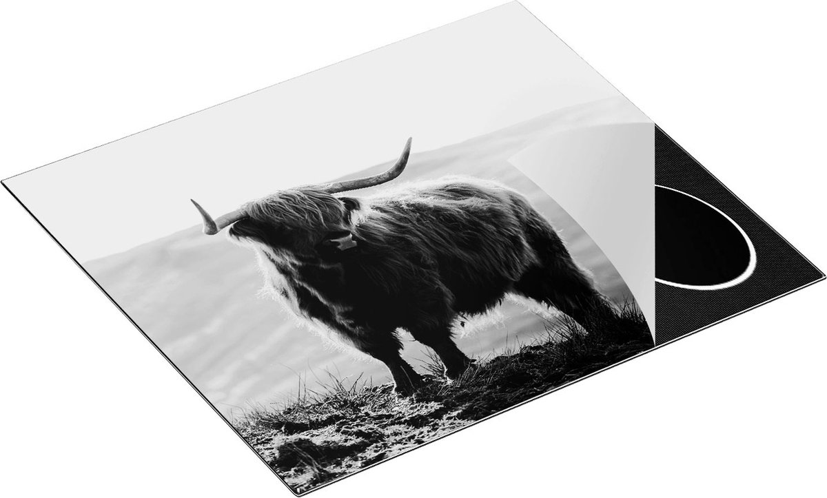 Chefcare Inductie Beschermer Schotse Hooglander in de Heuvels van Schotland - Zwart Wit - 57,6x51,6 cm - Afdekplaat Inductie - Kookplaat Beschermer - Inductie Mat