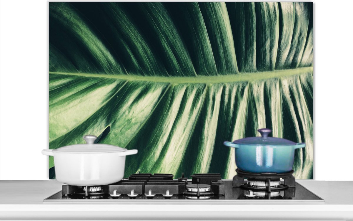 Spatscherm - Bladeren - Jungle - Tropical - Design - Natuur - Spatwand - 100x65 cm - Achterwand