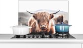 Spatscherm - Schotse Hooglander - Dieren - Koe - Natuur - Spatwand - Muurbeschermer - Achterwand keuken - Keuken - 60x40 cm - Spatscherm keuken