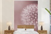 Behang - Fotobehang Bloemen - Paardenbloem - Roze - Breedte 160 cm x hoogte 240 cm