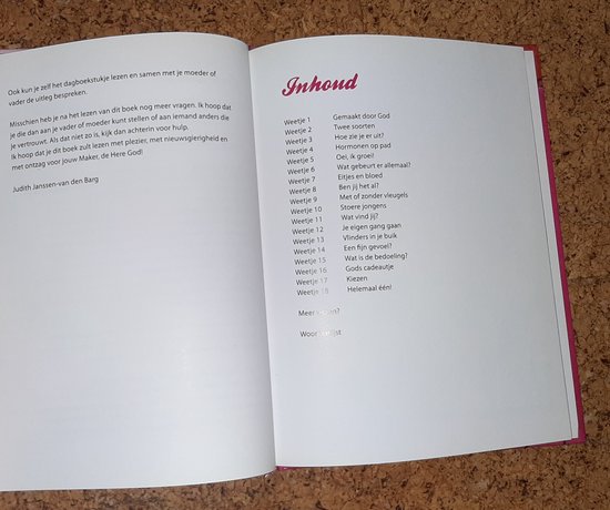 Inhoudsopgave van 'Alleen voor meisjes' met 18 hoofdstukken, zoals 'Hormonen op pad' en 'Vlinders in je buik'.