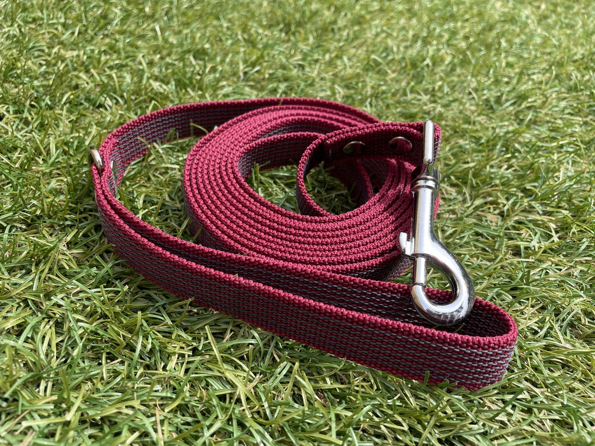 Bol.com Hondenriem 5 meter - Antislip - Bordeaux - Veilig - Grip - Comfortabel aanbieding