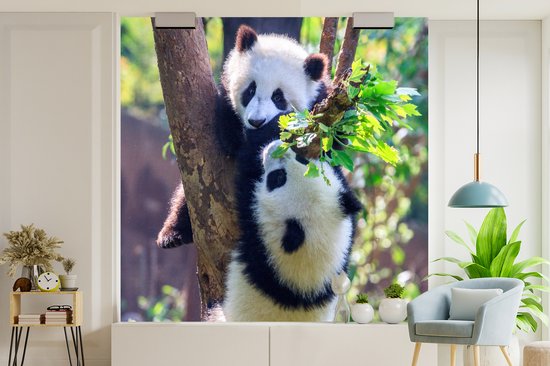 Papier peint - Papier peint photo Pandas - Arbre - Nature - Largeur 300 cm x hauteur 300 cm
