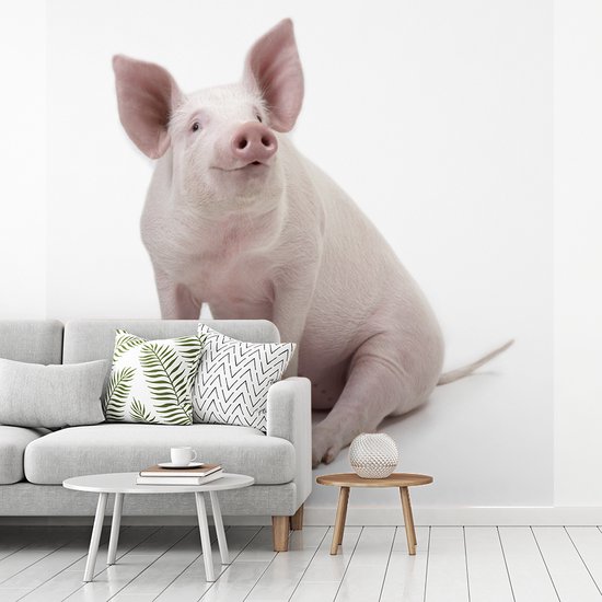 Papier peint photo peint photo vinyle - Porcinet pour fond blanc largeur 240 cm x hauteur 240 cm - Tirage photo sur papier peint (disponible en 7 tailles)