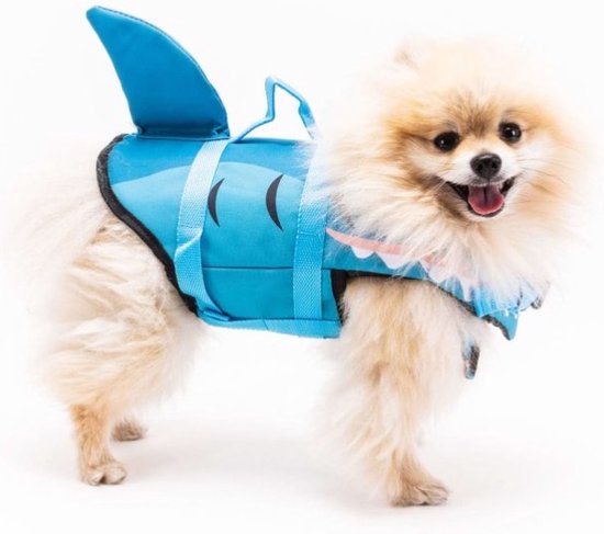 gilet sauvetage requin chien