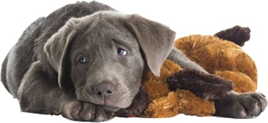 Snuggle Puppy Starter Kit Boy - Smart Pet Love