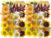 Geperste en gedroogde bloemen en bladeren - Geel en oranje - 60 stuks