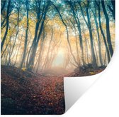 Stickers Stickers muraux - Forêt - Brouillard - Soleil - Automne - 100x100 cm - Film adhésif XXL