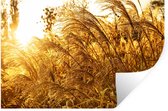 Stickers muraux - Herbe de la pampa - Soleil - Herbe - 90x60 cm - Feuille adhésive