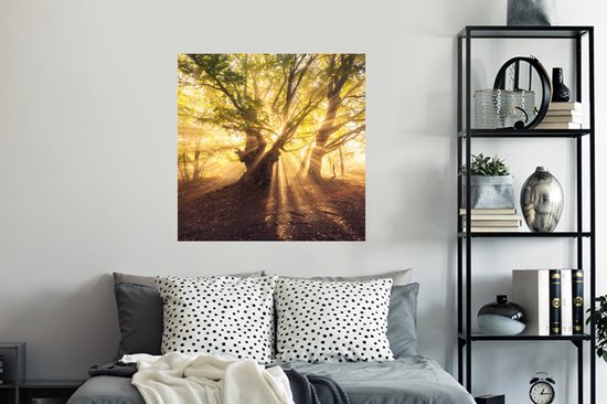 Stickers muraux - Arbre - Forêt - Soleil - 100x100 cm - Film adhésif XXL