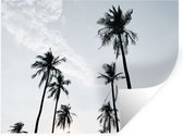 Stickers muraux - Palmiers - Été - Tropical - 160x120 cm - Film Adhésif XXL