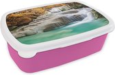 Broodtrommel Roze - Lunchbox - Brooddoos - Bos - Waterval - Water - Herfst - 18x12x6 cm - Kinderen - Meisje