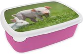 Broodtrommel Roze - Lunchbox - Brooddoos - Biggetje - Konijn - Dieren - 18x12x6 cm - Kinderen - Meisje