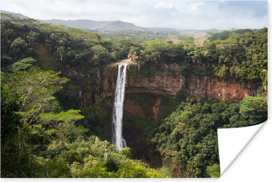 Affiche Tropical - Cascade - Forêt Tropicale - 30x20 cm