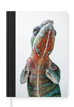 Notitieboek - Schrijfboek - Kameleon met een rode buik - Notitieboekje klein - A5 formaat - Schrijfblok