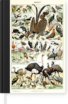 Notitieboek - Schrijfboek - Vogel - Natuur - Dieren - Vintage - Kunstwerk - Notitieboekje klein - A5 formaat - Schrijfblok