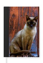 Notitieboek - Schrijfboek - Siamese kat met groene ogen op een houten achtergrond - Notitieboekje klein - A5 formaat - Schrijfblok