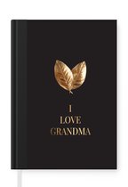 Notitieboek - Schrijfboek - I love grandma - Oma - Spreuken - Quotes - Notitieboekje klein - A5 formaat - Schrijfblok
