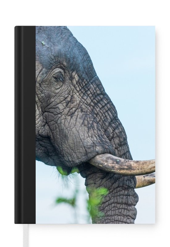 Protège Carnet De Santé Bébé Éléphant - Format A5 15x21cm - Compartiments Ordonnances