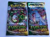 Afbeelding van het spelletje Pokemon - Trading Cards - Evolving Skies - Sword & Shield - 2 pakjes a 10 kaarten - Rayquaza - Duraludon