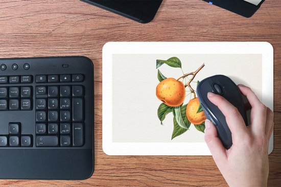 Muismat 27x18 cm - Mousepad Sinaasappel - Bladeren - Plant - Muismatten