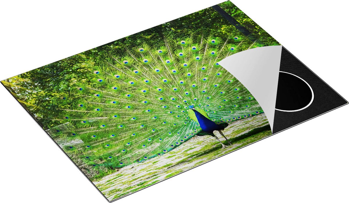 Chefcare Inductie Beschermer Pauw met Grote Kleurrijke Veren - 70x50 cm - Afdekplaat Inductie - Kookplaat Beschermer - Inductie Mat