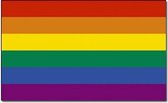Regenboog vlag 90 x 150 cm - Gay pride vlag