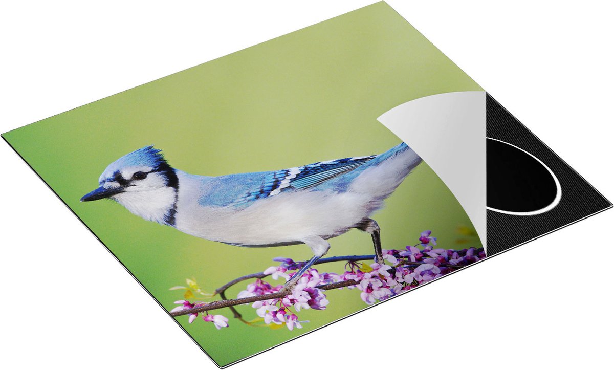 Chefcare Inductie Beschermer Blauwe Gaai Vogel op een Tak - Kleur - 59x52 cm - Afdekplaat Inductie - Kookplaat Beschermer - Inductie Mat