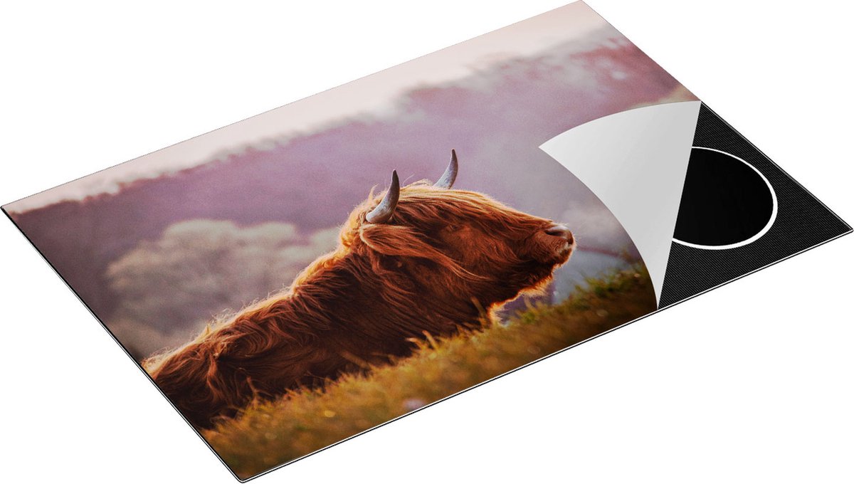 Chefcare Inductie Beschermer Schotse Hooglander Koe Ligt in het Gras - 81,6x52,7 cm - Afdekplaat Inductie - Kookplaat Beschermer - Inductie Mat