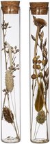 Oneiro’s Luxe Droogbloemen Glass tube natural chique dried flowers 2 ass H20 D3 cm – hotel chique - binnen - accessoires - decoratie – bloemen – mat – glans – industrieel