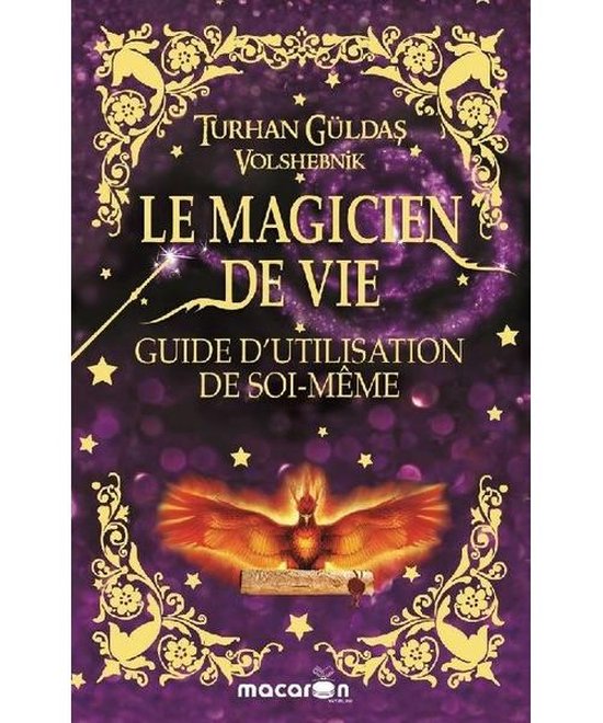 Le Magicien de Vie - cover
