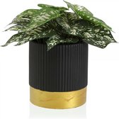 Pico NL® Bloempot keramisch zwart - Bloempot voor binnen en buiten - Bloempot goud - 16 x 17 x 16 cm