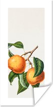 20 cm x 40 cm