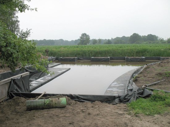 Liner d'étang en caoutchouc Hdpe noir pour petits étangs, étangs à