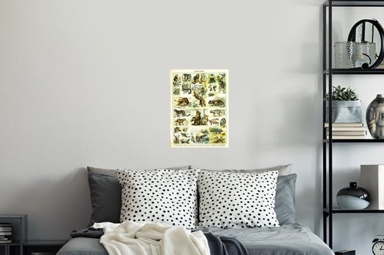 Stickers muraux Animaux - Animaux - Singe - Ours - 30x40 cm - Feuille adhésive
