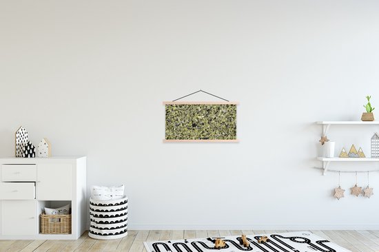 Porte-affiche avec affiche - Affiche scolaire - Vert - Boulders - Granit - 60x30 cm - lattes vierges