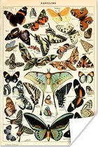 Poster - Kamer decoratie aesthetic - Dieren - Natuur - Adolphe Millot - Vlinder - Vintage - Room decoratie aesthetic - Tieners - 120x180 cm