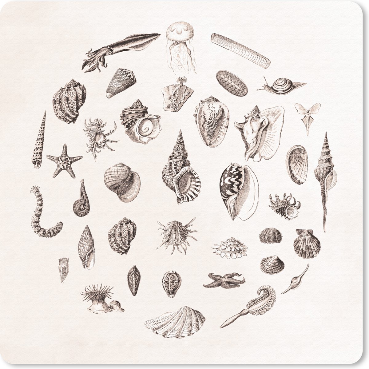 Muismat 20x20 cm - Mousepad Zeedieren - Schelpen - Octopus - Muismatten